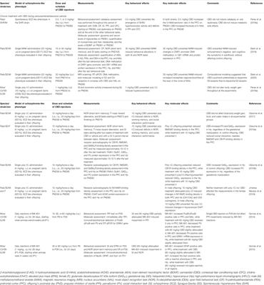 Is Cannabidiol During Neurodevelopment a Promising Therapy for Schizophrenia and Autism Spectrum Disorders?